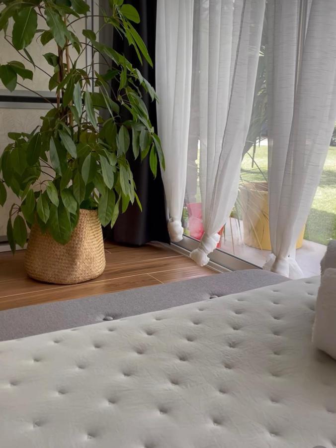 Apartmán Julia'S Garden Cuarte de Huerva Exteriér fotografie